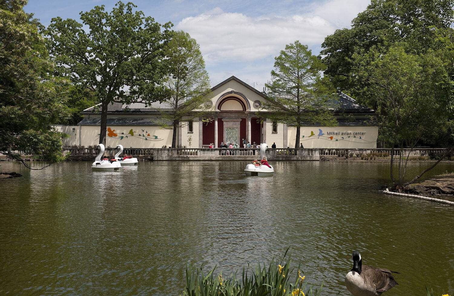 McNeil Avian Center